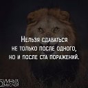 ���� ���, ����� - ��������� 29 ������� 2016 � ������ ������ ��������