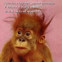 ���� ������, ������ - ��������� 5 ������� 2016 � ������ ������