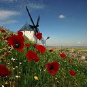 ���� �������, ������������ - ��������� 6 ������ 2016 � ������ ���� ����������