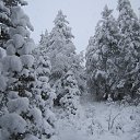 ���� �������, ����������, 49 ��� - ��������� 5 ������� 2016 � ������ ������