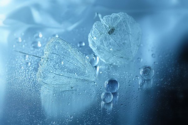        (Lafugue Logos) - 5