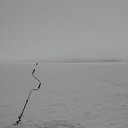  , , 52  -  6  2016    