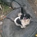 ���� ����, �������, 49 ��� - ��������� 19 �������� 2016 � ������ ���� ����������