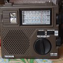 �������� TECSUN GR-88 ������ ��� �����. �������� ��������� ��� �� �������� ����� ��� ��������� ���������. ����� ������� - � �������� ����� ����� � ������� ����������� �����-������ �� ����������� "���" �� ������� ����������� � ��������������