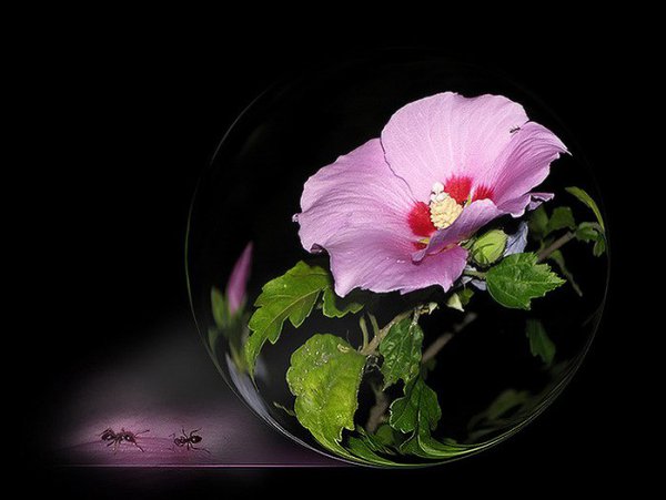 ))). Monuela Moya "Expecty" Monuela Moya "Expecty" ... - 11