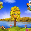 ���� Elchin Quseynov, ����, 52 ���� - ��������� 14 ������� 2016 � ������ �������� �������-�������