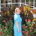 ���� �����, ����������, 48 ��� - ��������� 18 ������ 2017 � ������ ���� ����������