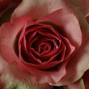 ���� �������, ������ - ��������� 11 ������� 2016 � ������ ������ ��������