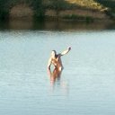      ,  , 50  -  24  2016    