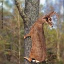 ���� �������, ������ - ��������� 13 ������ 2017 � ������ ������ ��������