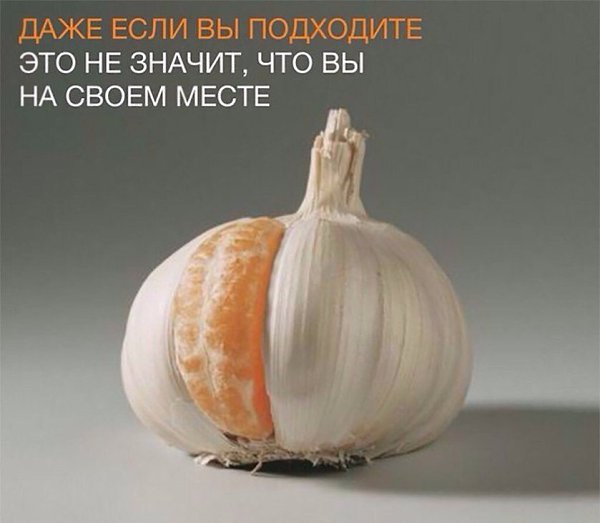   - 17  2017  20:36