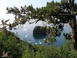 :) ������ ��� ���� '�������� ������' ���� ����� ����