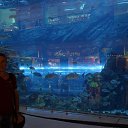 ���� Vladimir, ��������� - ��������� 6 ������ 2016 � ������ �������� 2 2016�.�