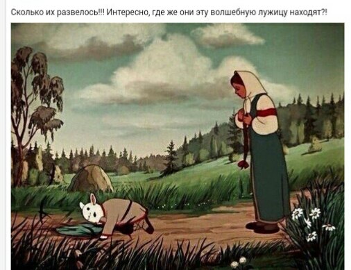   ... - 29  2017  19:17