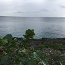 ���� Vincent, ������������, 50 ��� - ��������� 6 ������� 2016 � ������ ���� ����������