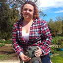 ���� ����, �����, 50 ��� - ��������� 11 ������ 2016 � ������ ������ ��������