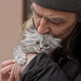 ���������, ������������, 52 ����