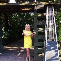 �����, ������, 56 ���