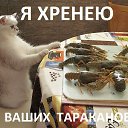 ���� ������, �����, 39 ��� - ��������� 6 ������� 2016 � ������ ���� ����������