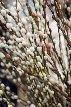   - 15  2016  00:15 - 2