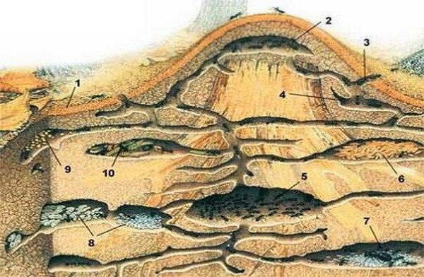 ��� ������� ����������.�� ���� ���� ���� �������� ������ ������ ������: �������� ��� ������ ������ ...