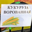 ���� ������, ���������, 68 ��� - ��������� 23 �������� 2016 � ������ ������ ��������
