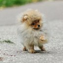 ���� �����, �����������, 58 ��� - ��������� 25 ������ 2016 � ������ ���� ����������