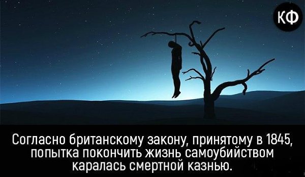 ������� - 6 ������� 2016 � 09:24