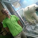 ���� ������, ����������, 31 ��� - ��������� 23 ������� 2016 � ������ ���� ����������