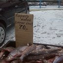 ���� ������, ���������, 68 ��� - ��������� 23 �������� 2016 � ������ ������ ��������