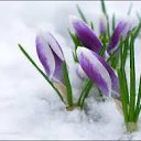 ���� �����, ����������� - ��������� 21 ������� 2017 � ������ ���� ����������