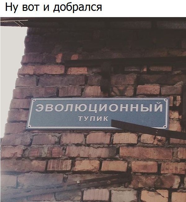  - 7  2017  19:33