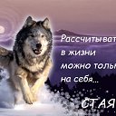 ���� ���������, ����������, 64 ���� - ��������� 10 ����� 2017 � ������ ������ ��������