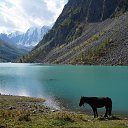  , -, 53  -  7  2016    .