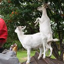 ��. ���������, ������ "��������� ������". �� ������� �2016�. ���-��������� �������.�