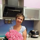  , -, 50  -  17  2017    