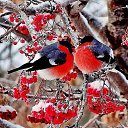 ���� �����, ����������� - ��������� 16 ������ 2017 � ������ ���� ����������