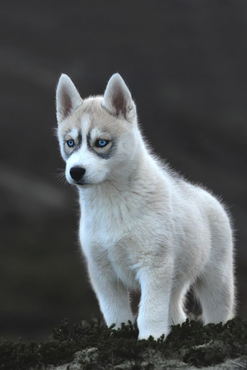 ������ �����! - 3