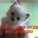 ���� ������, ������ - ��������� 5 ������� 2016 � ������ ��������