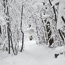 ���� �������, ���������, 52 ���� - ��������� 30 ������ 2016 � ������ ��������!�