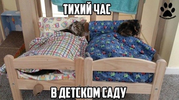    - 10  2017  03:17