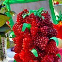  ,  -  14  2016       ̻