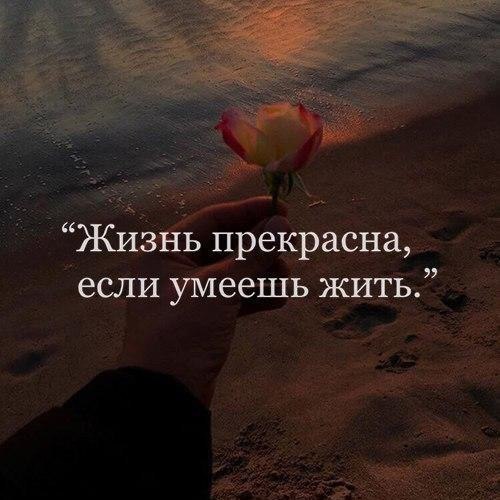  ,   , ,     ,    . - 2