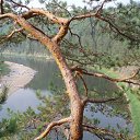 ���� �������, ������ - ��������� 22 ������ 2016 � ������ �����-��� http://vkontakte.ru/app1713637�