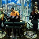   , , 52  -  1  2016     &quot; &quot;  -. 1  2016.