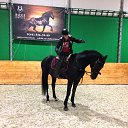 ���� ������, ����, 36 ��� - ��������� 17 ������ 2016 � ������ ������ ��������