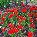 ���� Lana, ������, 54 ���� - ��������� 1 ������ 2017 � ������ �Timeline Photos�