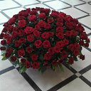 ���� ����, �����-���������, 59 ��� - ��������� 25 �������� 2016 � ������ ���� ����������