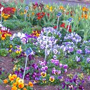 ���� Lana, ������, 54 ���� - ��������� 31 ����� 2017 � ������ ���� ����������