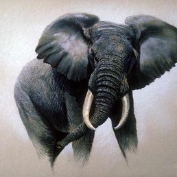 �����, ������, 48 ���